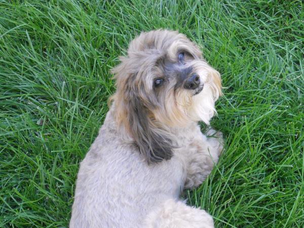/Images/uploads/Humane Society of Utah/HSUCalendar/entries/1611thumb.jpg